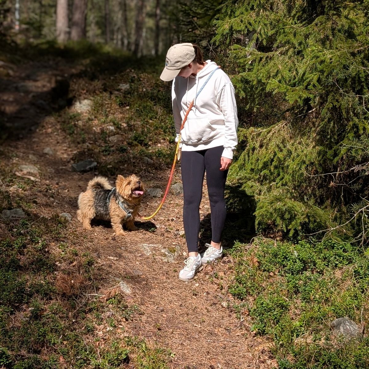 Heavy-duty braided rope dog lead with adjustable metal rings and two heavy-duty clips, shown in a hands-free cross-body configuration.