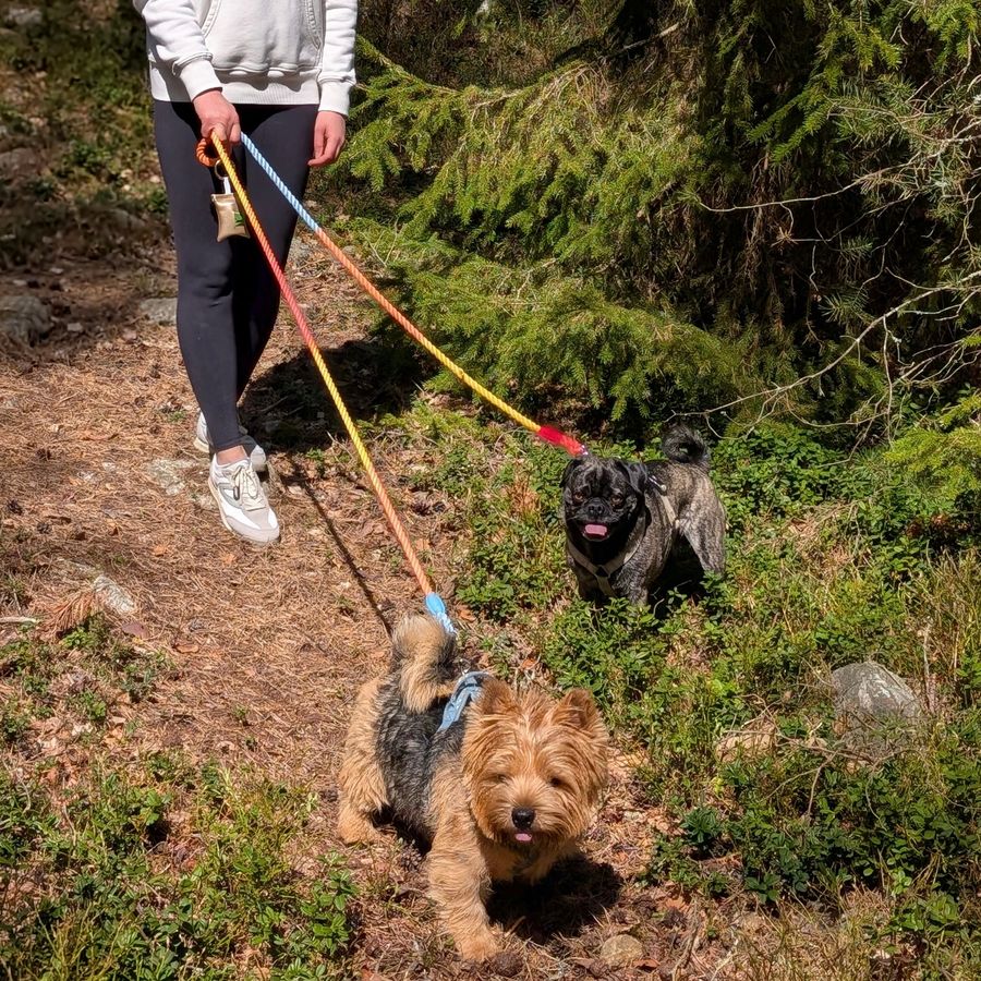 Mint Handsfree Leash