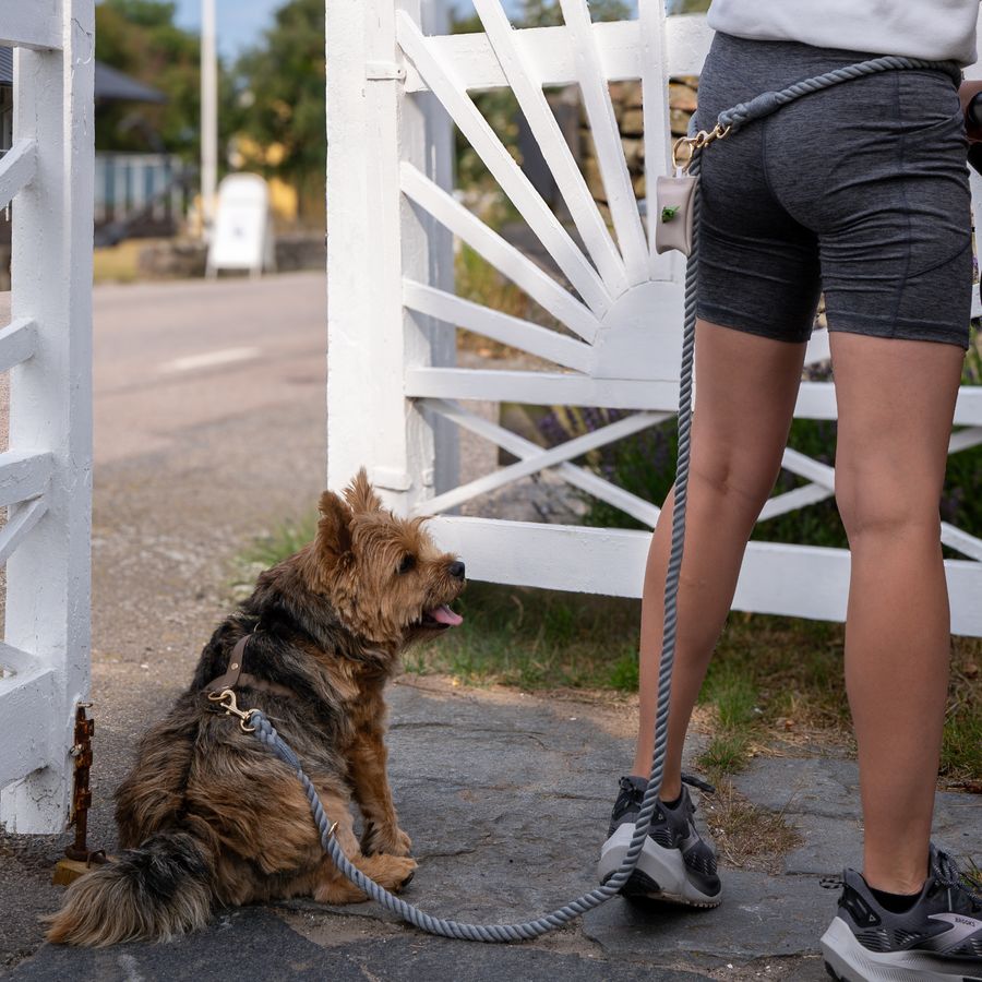 Rainbow Handsfree Leash